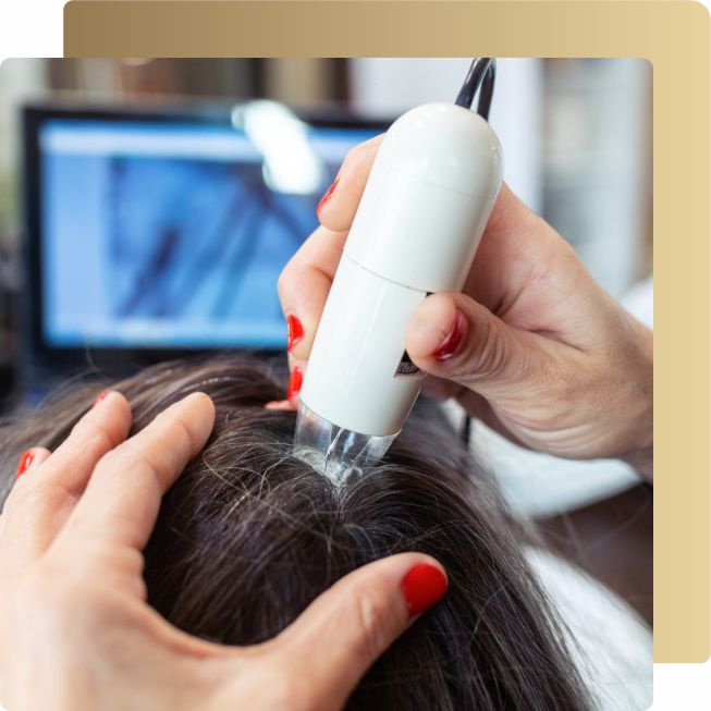 curso tricologia body